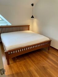 Loft @ Rangoon (D8), Apartment #520703451